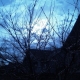 GreySlade Photo