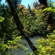 GreySlade Photo