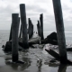 GreySlade Photo